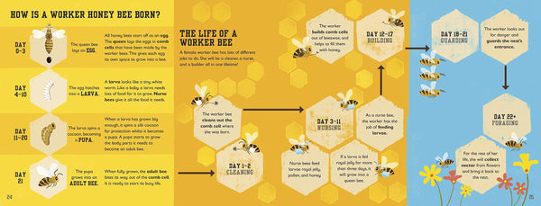 The Bee Book